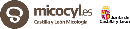 Micocyl