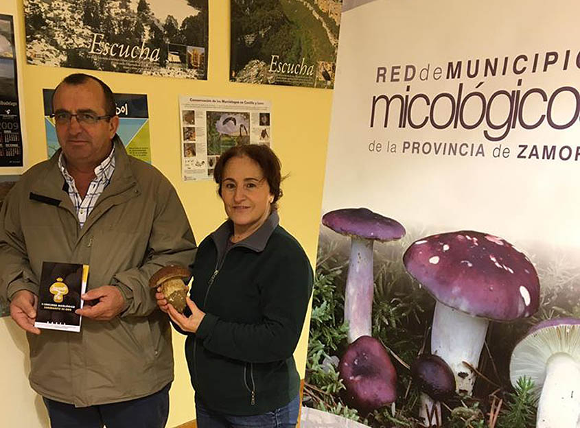 Celebrado el  II Concurso Micológico 'Zamoranito de Oro' (Zamora)