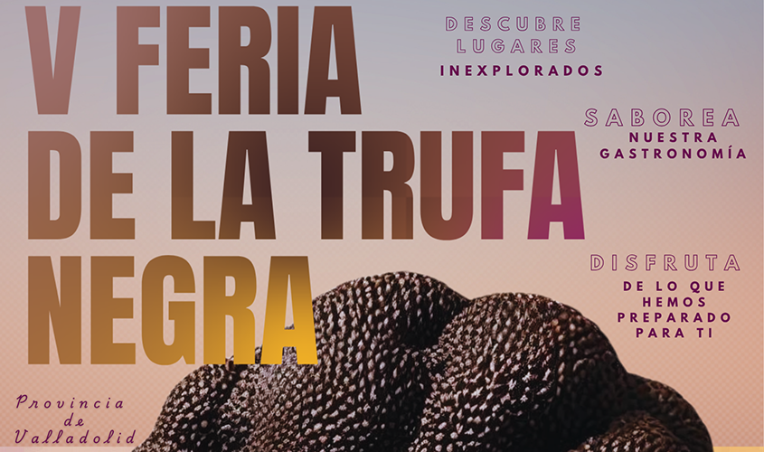 V feria Cogeces del Monte