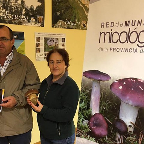Celebrado el  II Concurso Micológico 'Zamoranito de Oro' (Zamora)