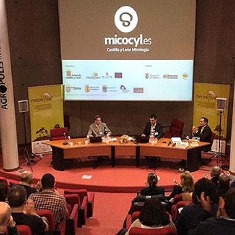 Micocyl, Programa de Micología de Castilla y León, Montpellier