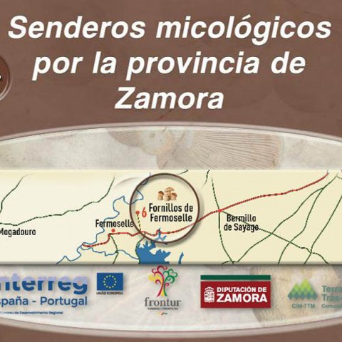 Nueva aplicación móvil con senderos micológicos de Zamora